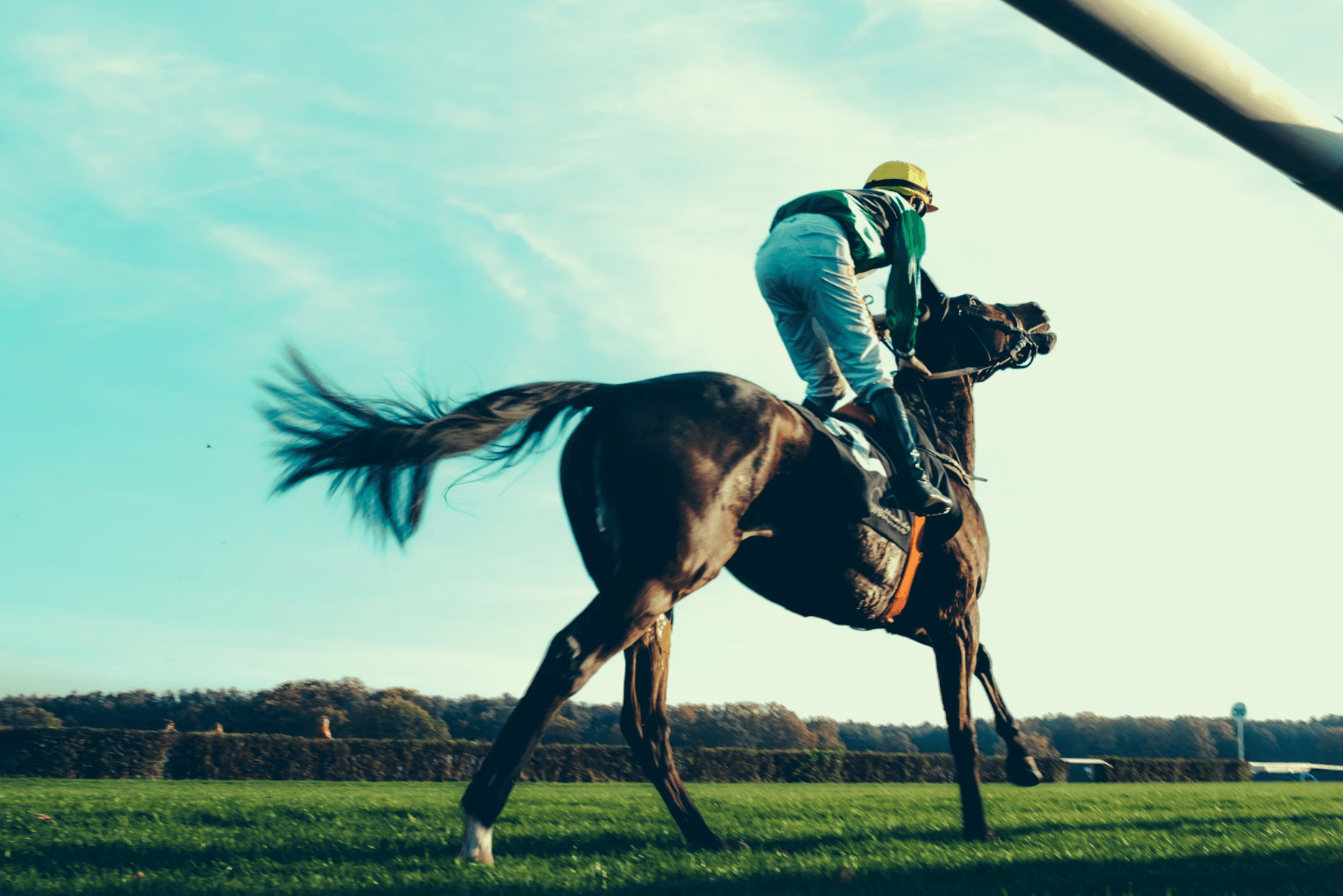 Comprendre l'analyse génétique : guide pratique pour éleveurs